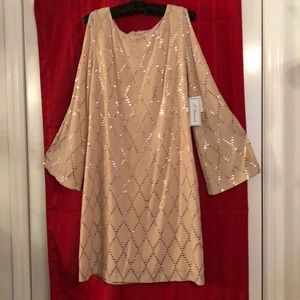 Elegant Champagne Bat-Sleeved Evening Dress